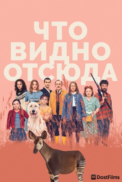 Что видно отсюда