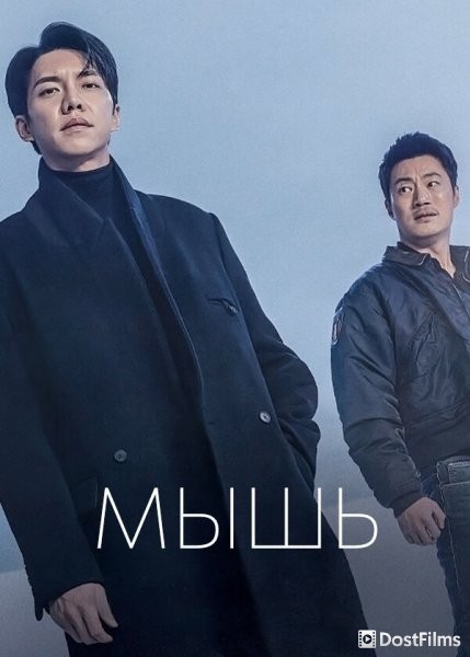 Мышь