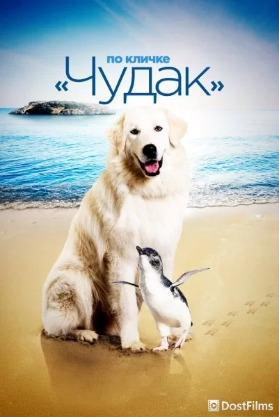 Чудак
