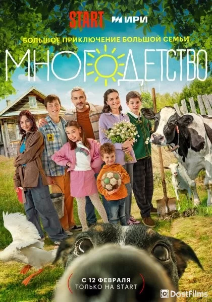 Многодетство