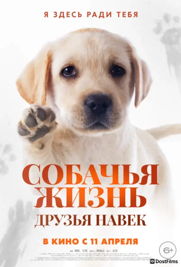 Собачья жизнь: Друзья навек