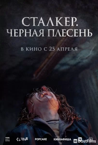Сталкер. Черная плесень