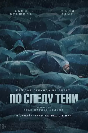По следу тени