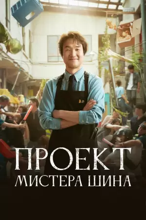 Проект мистера Щина (1 сезон)